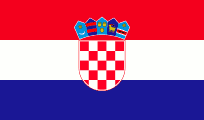 flag image